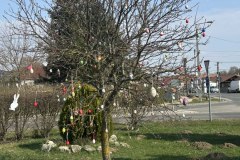 att.DjpWks7Gkp4XApL7fKmZp3HvBlXESCKnOv84VEYXDdM