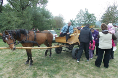 Hernad-parti_piknik_2