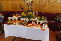 DSCN0526