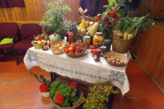 DSCN0528