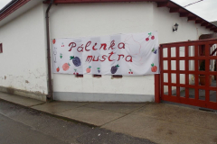 palinkamustra_2016_1